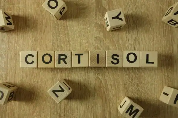 The Hidden Connection: How Stress Shapes Your Fitness and Body Composition 2 Image saying "Cortisol" and how stress Knutsford impacts your wellbeing and bodies shape
